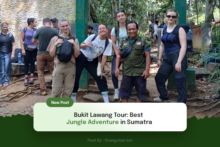 Bukit-Lawang-Tour-Best-Jungle-Adventure-in-Sumatra